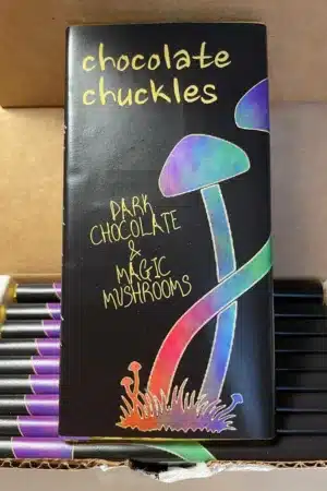 Dark Chocolate & Magic Mushrooms