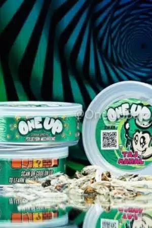 Oneup Can Shrooms (10 cans)